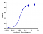 Anti-GPRC5D Reference Antibody (talquetamab)