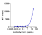 Anti-GPRC5D Reference Antibody (talquetamab)