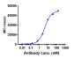 Anti-CLDN6 Reference Antibody (IMAB027)