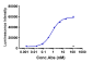 Anti-CLDN6 Reference Antibody (IMAB027)