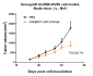 Anti-CLDN6 Reference Antibody (IMAB027)