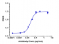 Anti-Complement Factor D Reference Antibody (lampalizumab)