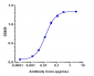 Anti-CSF1R / M-CSFR / CD115 Reference Antibody (cabiralizumab)