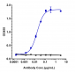 Anti-FOLH1 / PSMA Reference Antibody (rosopatamab)