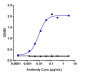 Anti-TNFRSF13C / BAFFR / CD268 Reference Antibody (ianalumab)