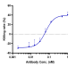 Anti-GPC3 / Glypican-3 Reference Antibody (codrituzumab)