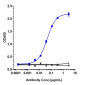 Anti-IFNa1 Reference Antibody (sifalimumab)