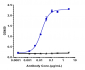 Anti-IFNAR1 Reference Antibody (anifrolumab)