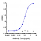 Anti-IL-22 Reference Antibody (fezakinumab)
