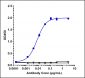 Anti-PDCD1 / PD-1 / CD279 Reference Antibody (camrelizumab)