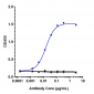 Anti-PDCD1 / PD-1 / CD279 Reference Antibody (spartalizumab)
