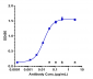 Anti-PDGFRA / CD140a Reference Antibody (olaratumab)