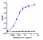 Anti-BTN1A1 Reference Antibody (ICT-01)