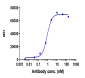 Anti-BTN1A1 Reference Antibody (CTX-2026)