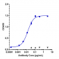 Anti-TFPI Reference Antibody (concizumab)