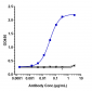 Anti-TNFSF2 / TNFa Reference Antibody (infliximab)