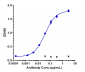 Anti-TNFRSF10B / TRAILR2 / CD262 Reference Antibody (lexatumumab)