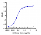 Anti-CD79b Reference Antibody (polatuzumab vedotin-piiq)