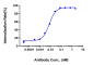 Anti-CDH17 / Cadherin-17 Reference Antibody (10C12)