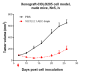 Anti-CDH17 / Cadherin-17 Reference Antibody (10C12)