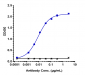 Anti-Siglec-2 / CD22 Reference Antibody (pinatuzumab vedotin)