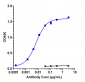 Anti-TNFRSF9 / 4-1BB / CD137 Reference Antibody (utomilumab)