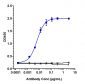 Anti-CD38 Reference Antibody (isatuximab)