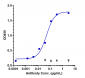 Anti-CD38 Reference Antibody (daratumumab)