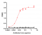 Anti-ERBB2 / HER2 / CD340 Reference Antibody (disitamab)