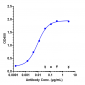 Anti-IGF1R / CD221 Reference Antibody (teprotumumab)