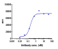 Anti-IGF1R / CD221 Reference Antibody (teprotumumab)