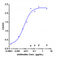 Anti-B7-H1 / PD-L1 / CD274 Reference Antibody (atezolizumab)