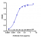 Anti-ROR1 Reference Antibody (zilovertamab)