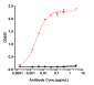 Anti-ROR1 Reference Antibody (zilovertamab vedotin)