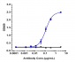 Anti-ROR2 Reference Antibody (Ozuriftamab)