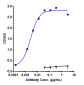 Anti-CD98 Reference Antibody (Ign523)