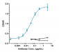 Anti-TGFb1 Reference Antibody (SRK181)