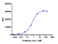 Anti-TROP2 Reference Antibody (sacituzumab)