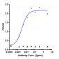 Anti-VEGF Reference Antibody (BioMab patent anti-VEGF)