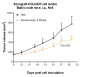 Anti-VEGF Reference Antibody (BioMab patent anti-VEGF)