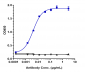 Anti-VEGFC Reference Antibody (VGX100)