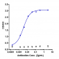 Anti-IFNg Reference Antibody (AMG 811)