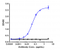 Anti-CXCL8 / IL-8 Reference Antibody (HuMax-IL8)