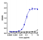 Anti-LIF Reference Antibody (MSC-1)