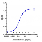 Anti-LILRB2 / ILT4 / CD85d Reference Antibody (JTX-8064)