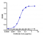 Anti-Mesothelin Reference Antibody (amatuximab)