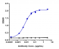 Anti-MMP9 Reference Antibody (andecaliximab)