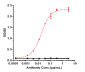 Anti-Mesothelin Reference Antibody (anetumab)