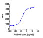 Anti-Mesothelin Reference Antibody (anetumab)