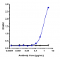 Anti-Amyloid Beta Reference Antibody (aducanumab)